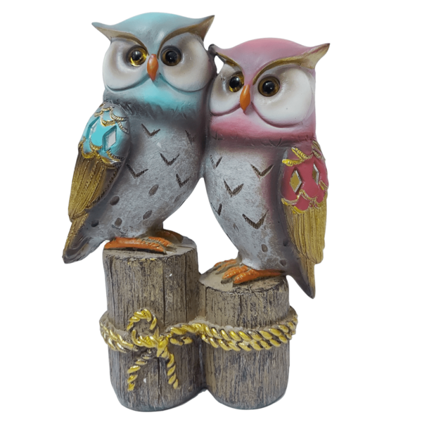 Feng Shui Pair of Owl Statue for Home Decor Living Room Office Table Showpiece
